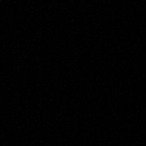 Meet your Posher, Sidney